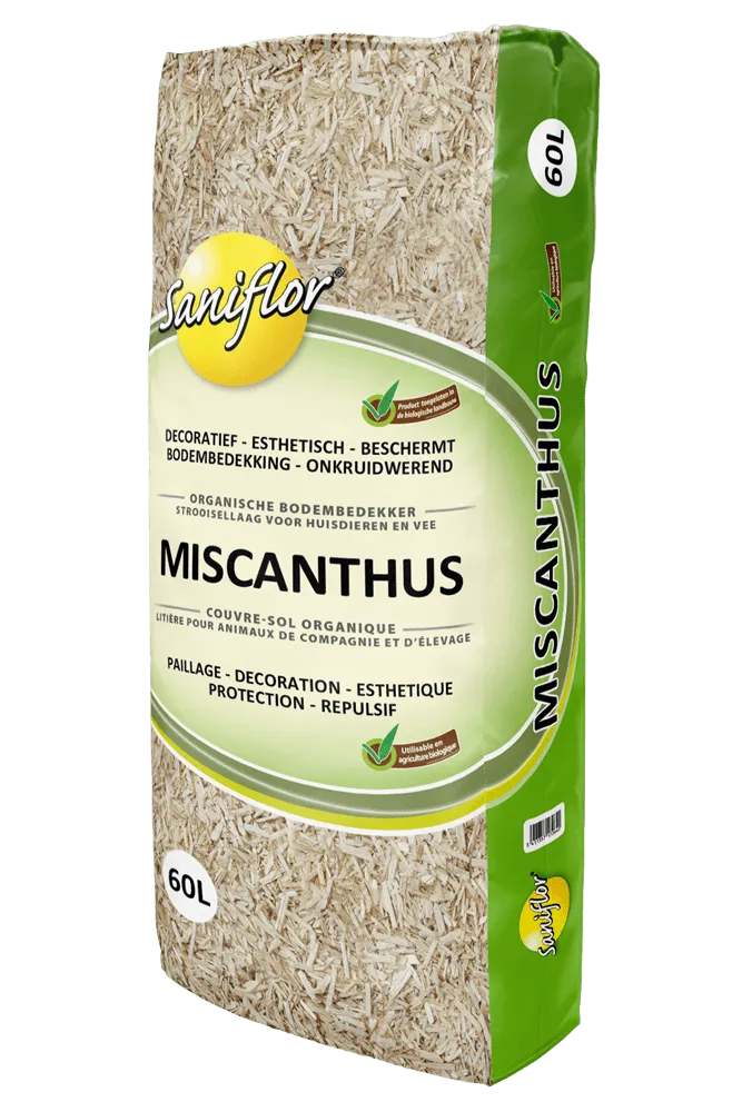 Miscanthus_60L_2020.webp