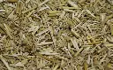 belcanthus.webp