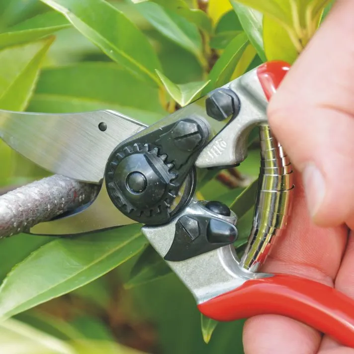 felco6-2-centraljardin.webp