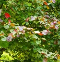 AdobeStock_355911233 - 0000001383010.webp