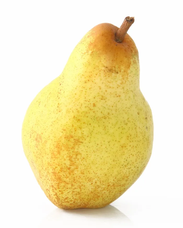 Poirier William's Bon Chrétien-AdobeStock_123930260.webp