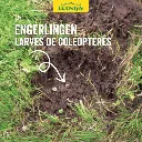 Nématodes contre le ver blanc.webp