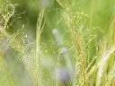 unsplash_QI7rN1GiPeA_stipa.jpg.webp