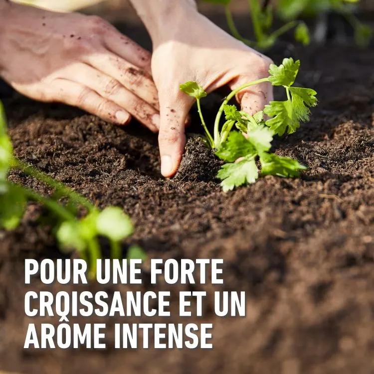 Terreau Légumes et tomates 20 L Compo BIO-3.webp