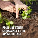Terreau Légumes et tomates 20 L Compo BIO-3.webp
