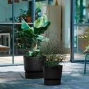 Greenville ronde 18 noir