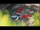 youtube - [Video]