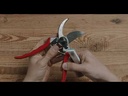 youtube - [Video]