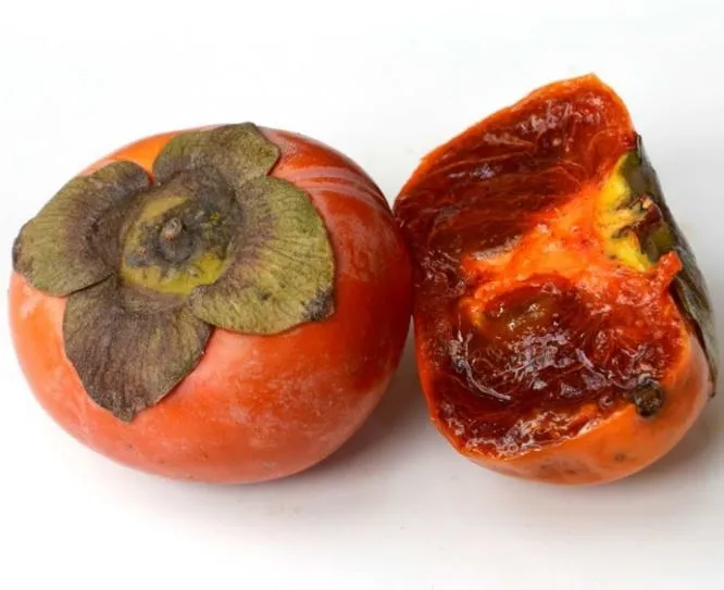 Diospyros kaki Chocolatina ou Cioccolatino-2.webp