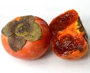 Diospyros kaki Chocolatina ou Cioccolatino-2.webp