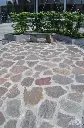 violetto-2.webp