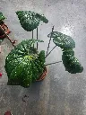 20260610_165738.webp