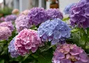 AdobeStock_1445862284.webp