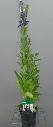 20260619_152402.webp