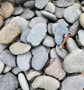 Galets Beach Pebbles Anthracite -20260610_145652.webp