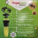 Piège à frelons asiatiques Vespacatch-20260711_123443.webp