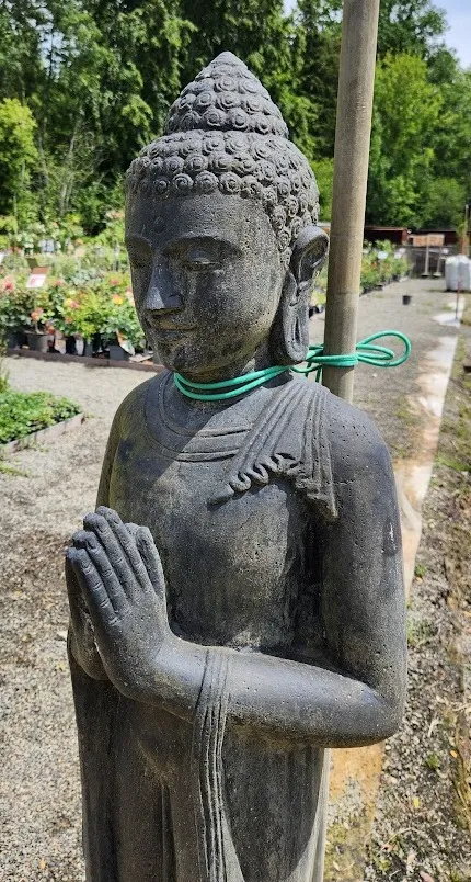 Bouddha standing main jointe.webp