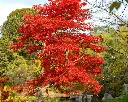 AdobeStock_1050871026.webp