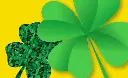 clover-barenbrug-2.webp