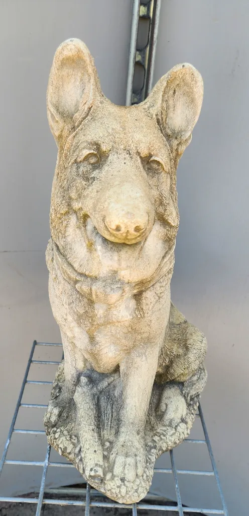 Chien berger allemand -20260808_155707.webp