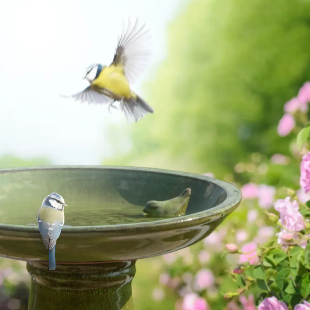 FB424_40.webp