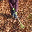 KG101_40.webp