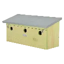 NK85_02.webp