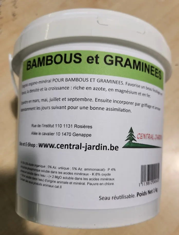 eng-bambous-20240313_122742.webp