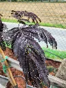 20260904_150850.webp