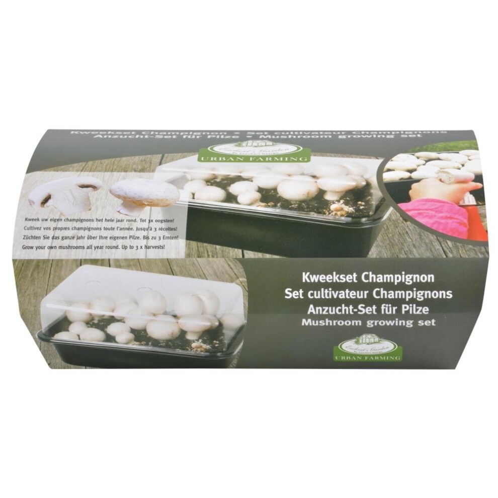 Set de culture champignons blanc