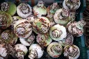 amaryllis-AdobeStock_256465609.webp