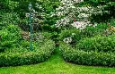 RHODODENDRON inkharo Bloombux ®-3.webp