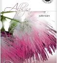 albizia.webp