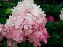 HYDRREN01_G001_05.webp