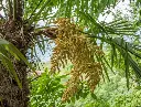 AdobeStock_213768400.webp