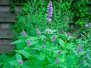 AGASBFO01_G001_02.webp
