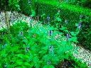 AGASBAD01_G001_01.webp