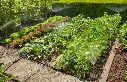 GA250-0635_HighResPng.webp
