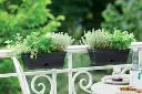 8711904159474-2.webp