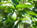 AdobeStock_1230309299.webp