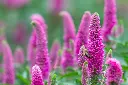 AdobeStock_590461580.webp