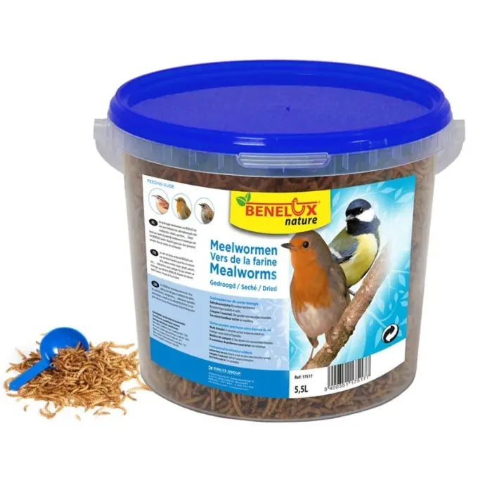 Vers de farine séchés seau 5.5 l 825g (KINLYS)