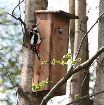 Nichoir à Pic Epeiche en bois FSC