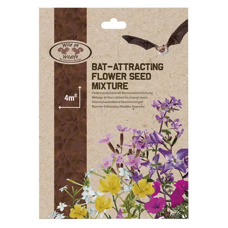 Fleurs graines en mélange pour chauve souris