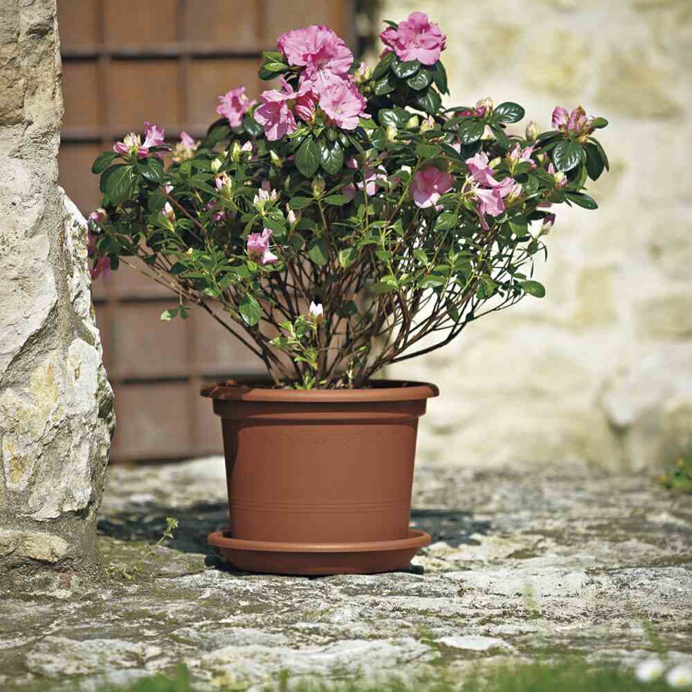 Pot Plastic D 35 cm Terracotta