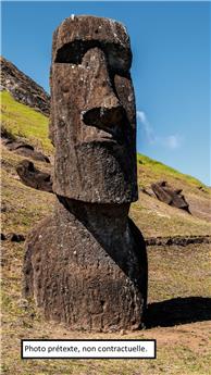 Moai île de Pâques Ht 200 cm XXL ** Pièce exceptionnelle **