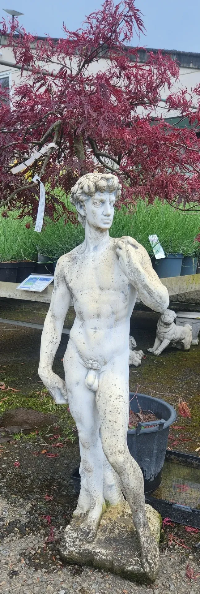 Statue David béton patiné Ht 113 cm (R25)