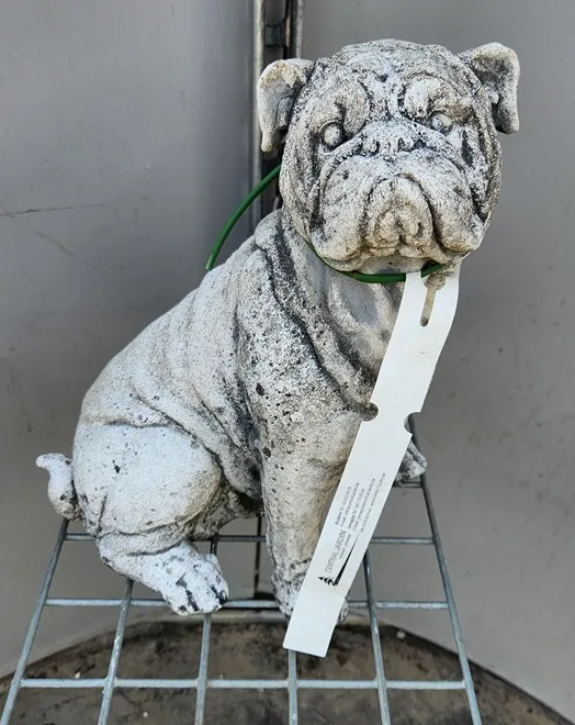 [123627] Chien Bouledogue Anglais assis béton- ht 30 cm