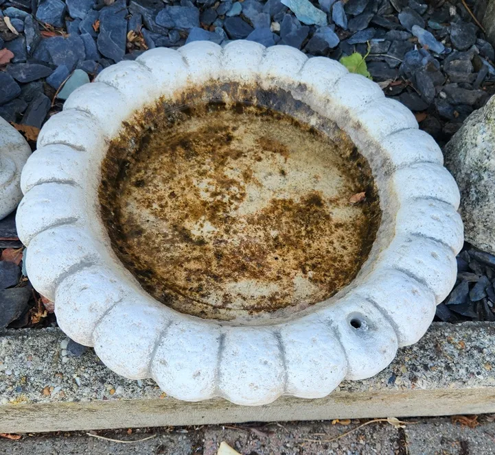 Abreuvoir bain oiseau béton (P2)