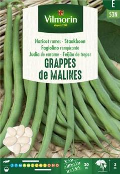 Haricot Mangetout À Rames Grappe De Malines 125g (Vilm)